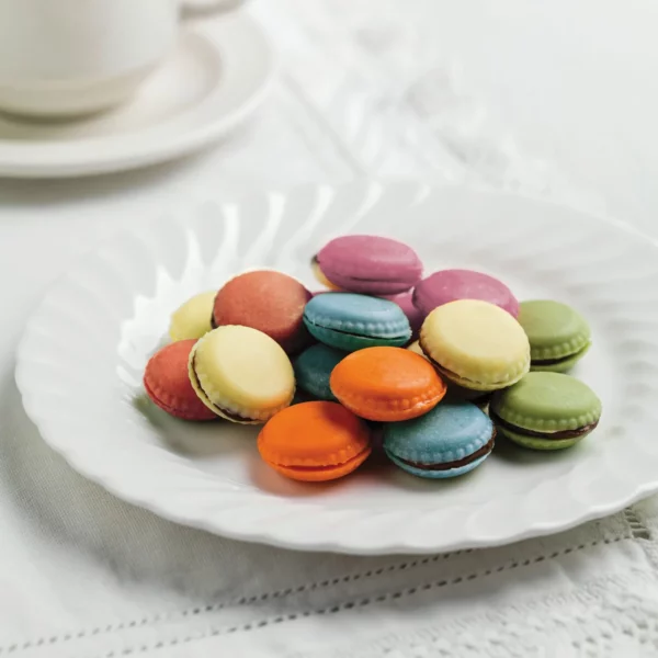 Scg21 choco macaron